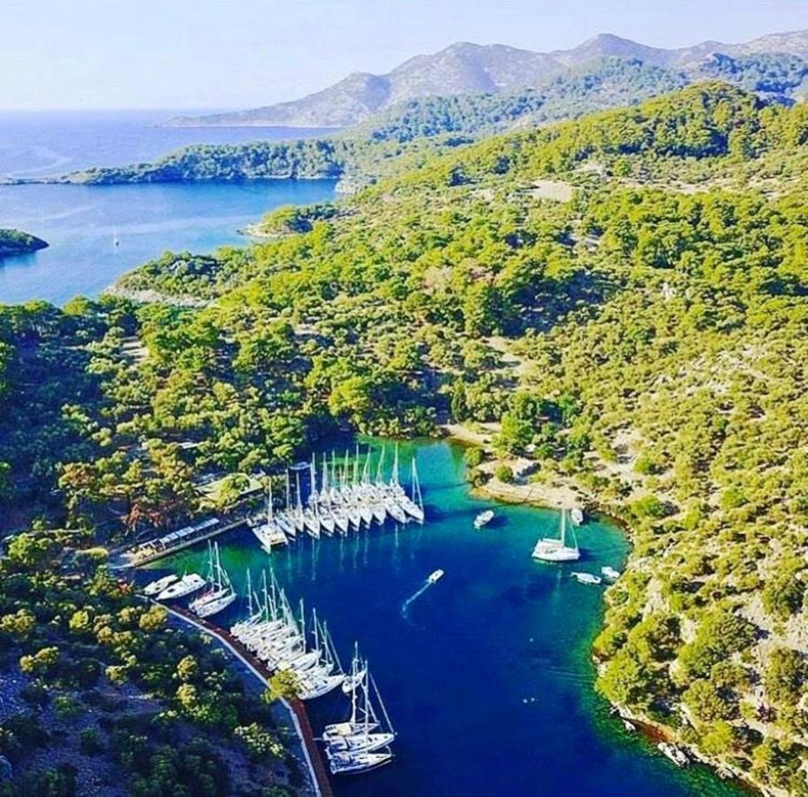 Green Forest Holiday Village أولدينيس المظهر الخارجي الصورة