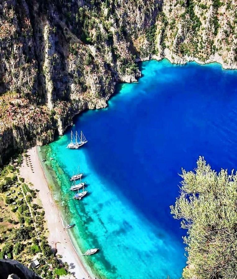 Green Forest Holiday Village أولدينيس المظهر الخارجي الصورة