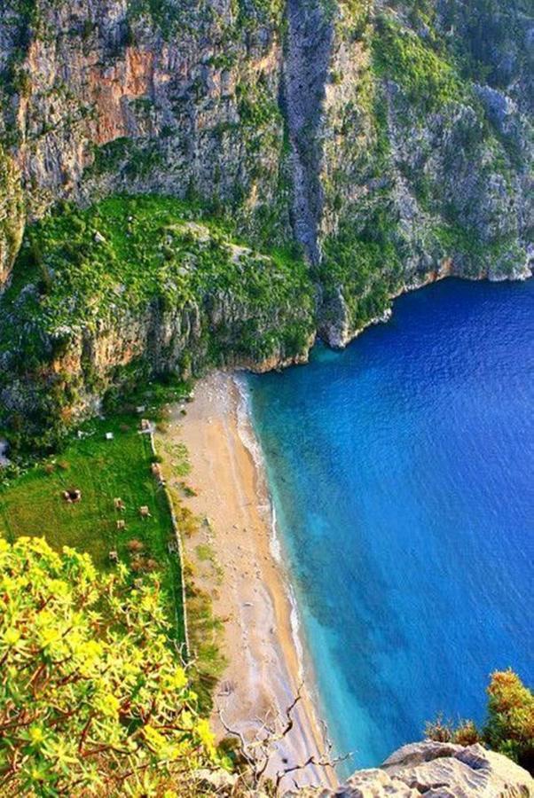 Green Forest Holiday Village أولدينيس المظهر الخارجي الصورة