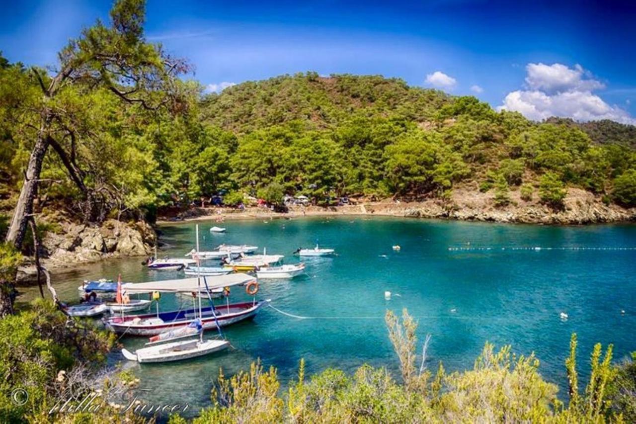 Green Forest Holiday Village أولدينيس المظهر الخارجي الصورة